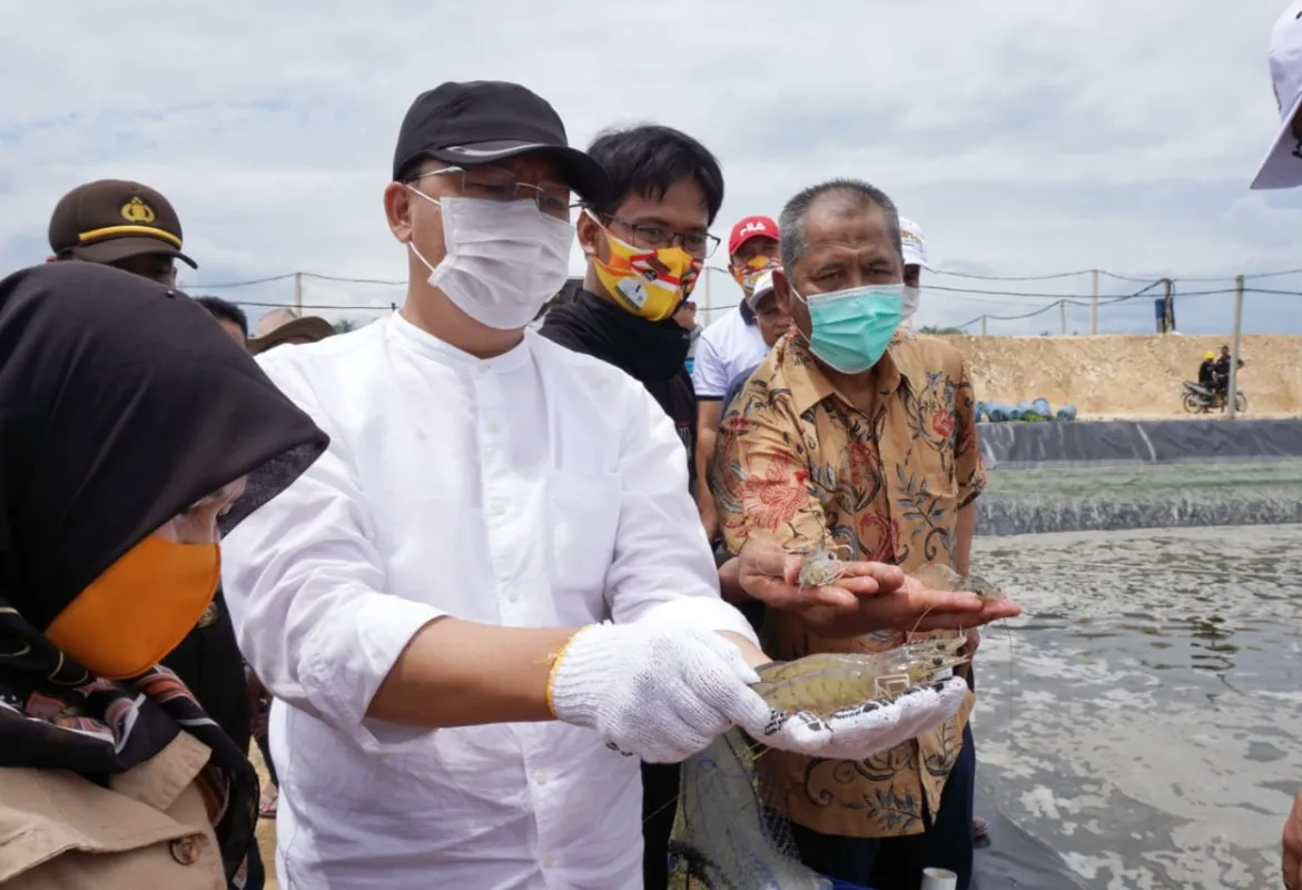 Rohidin Mersyah : Investasi akan Menyerap Tenaga Kerja dan Sumber Daya Pesisir