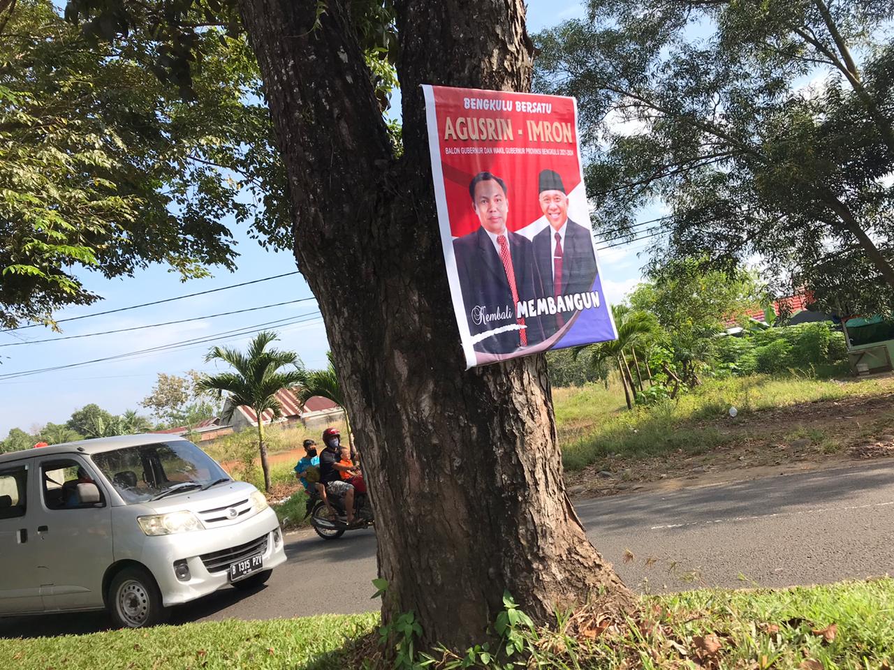 Kasihan Pohon