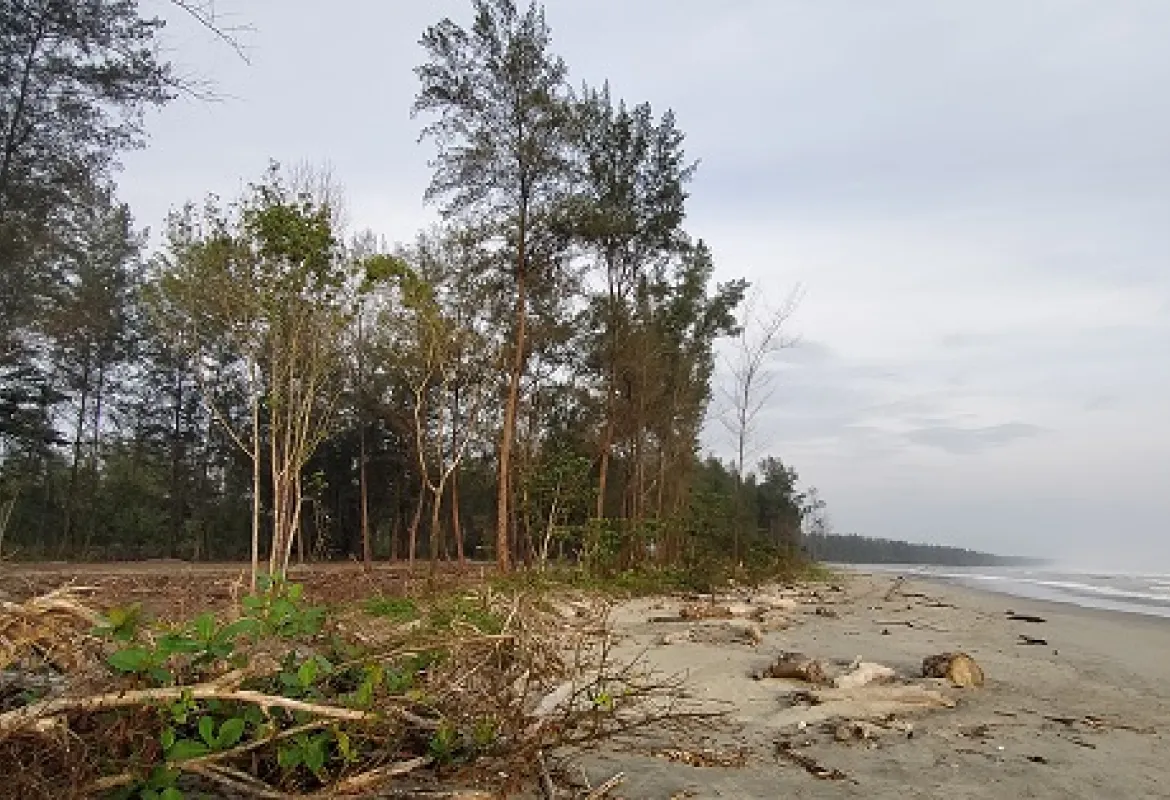 DPRD Kota Bengkulu Kaji Perizinan PT NAB Soal TWA Pantai Panjang