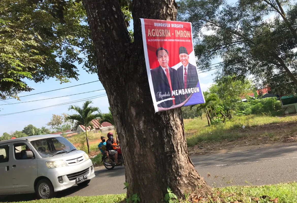 Kasihan Pohon