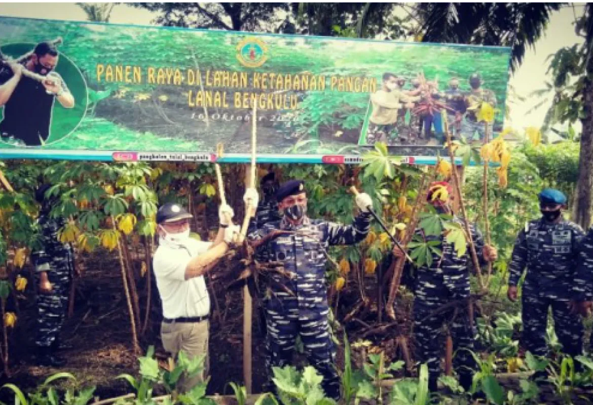 Lanal dan Pemkot Panen Raya Ubi Kayu Guna Atasi Ketahanan Pangan Di Tengah Pandemi Covid-19
