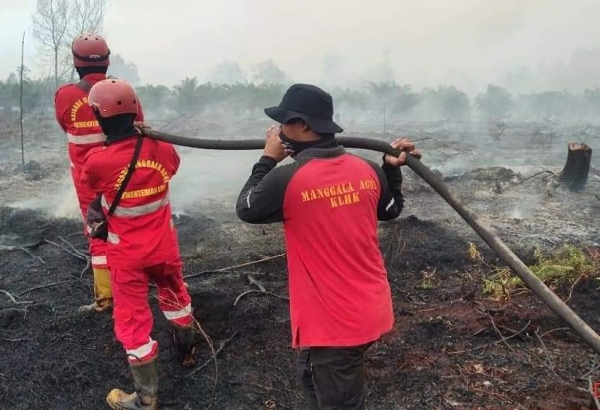 Pemerintah Provinsi Riau Minta Perusahaan Perkebunan Lakukan Tindakan Preventif Atasi Kebakaran Lahan