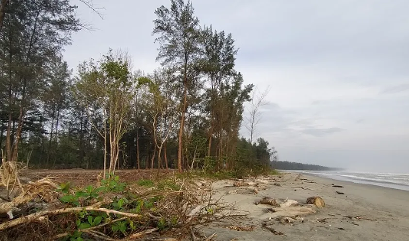 DPRD Kota Bengkulu Kaji Perizinan PT NAB Soal TWA Pantai Panjang