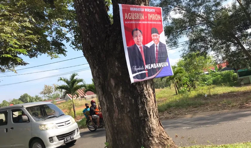 Kasihan Pohon