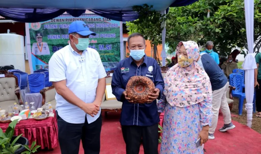 Bupati Siak Optimis Porang Bisa Berkembang di Kabupaten Siak